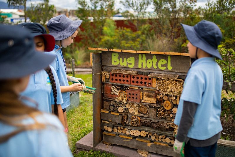 bug hotel