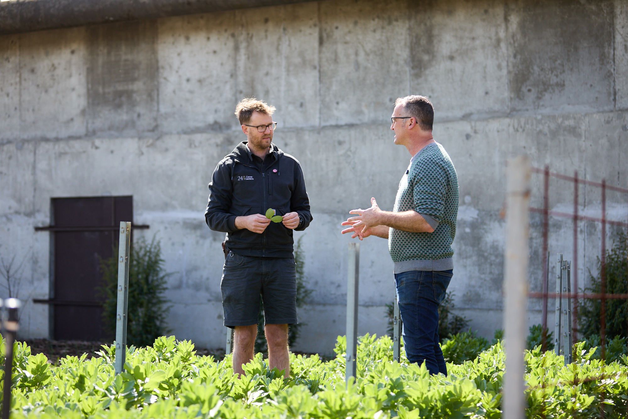 Two men are engaged in conversation in a green field. One holds plant leaves; both appear focused and thoughtful. A concrete wall is in the background.