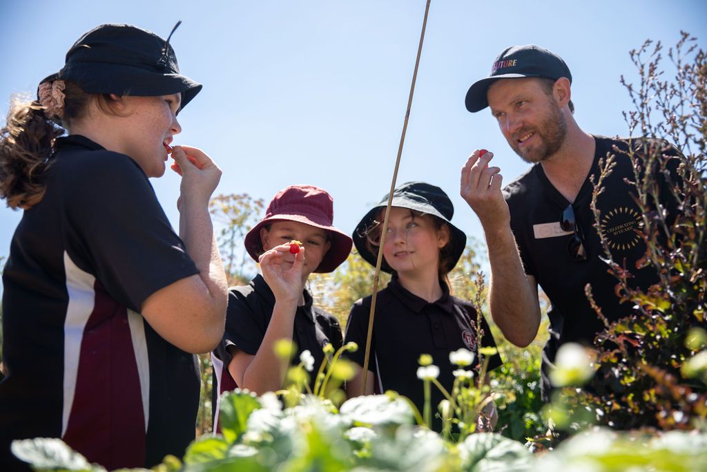 children eating strawberries in the garden.