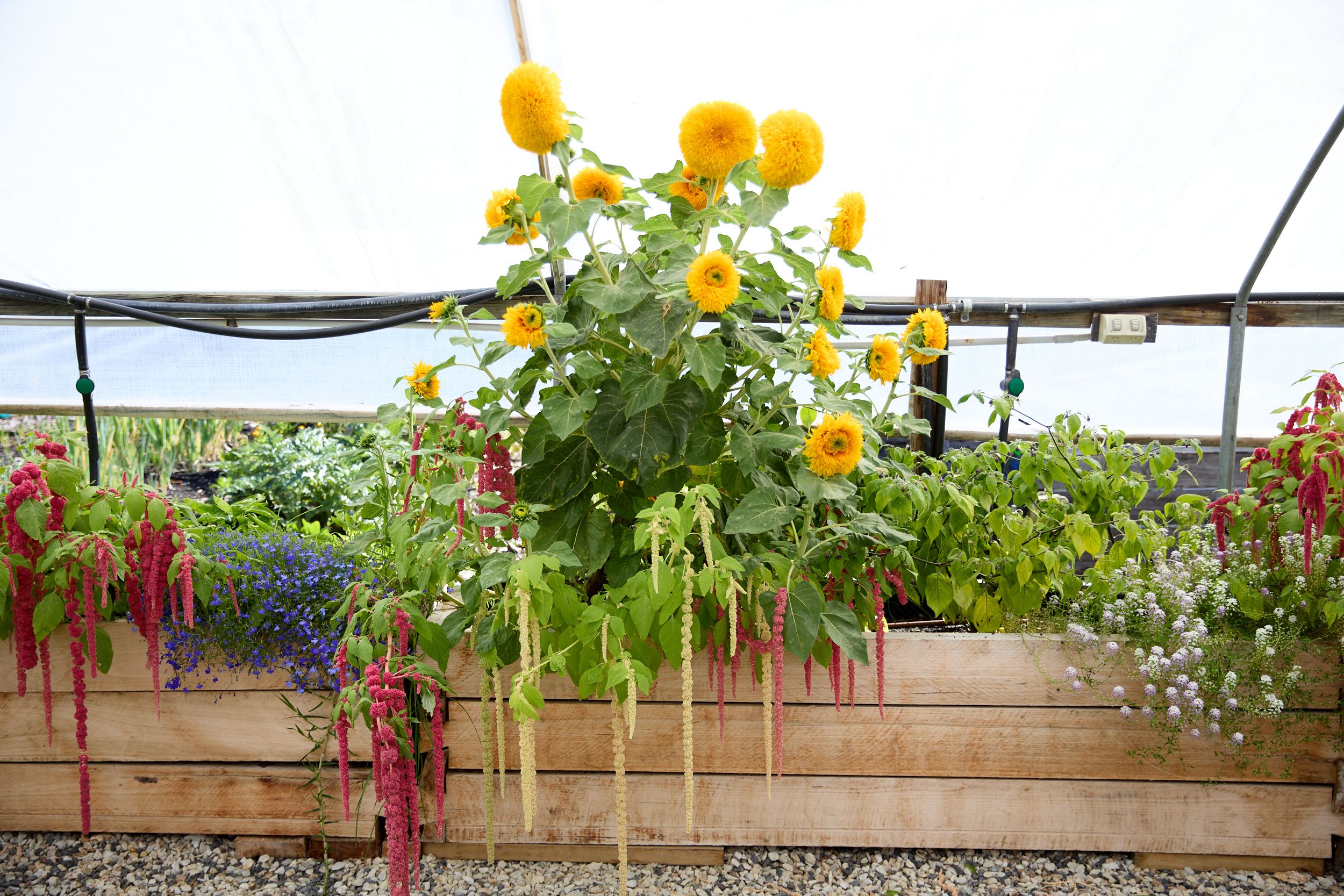 Material Institute's site in Bridgewater