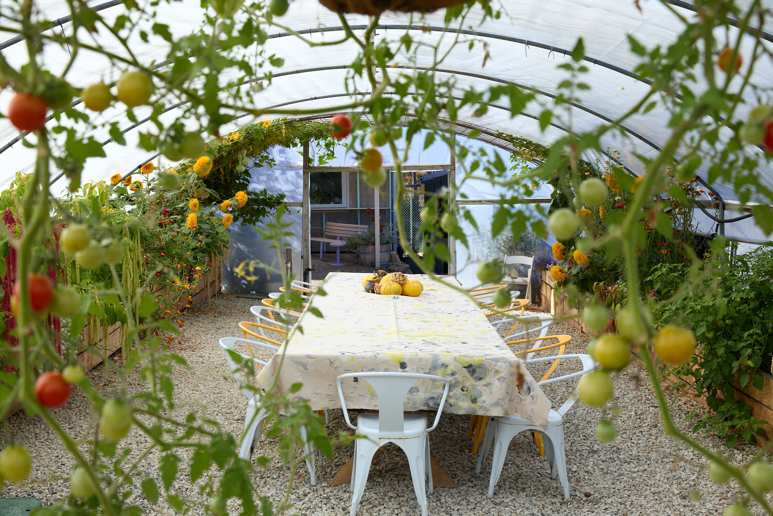 Our outdoor classroom