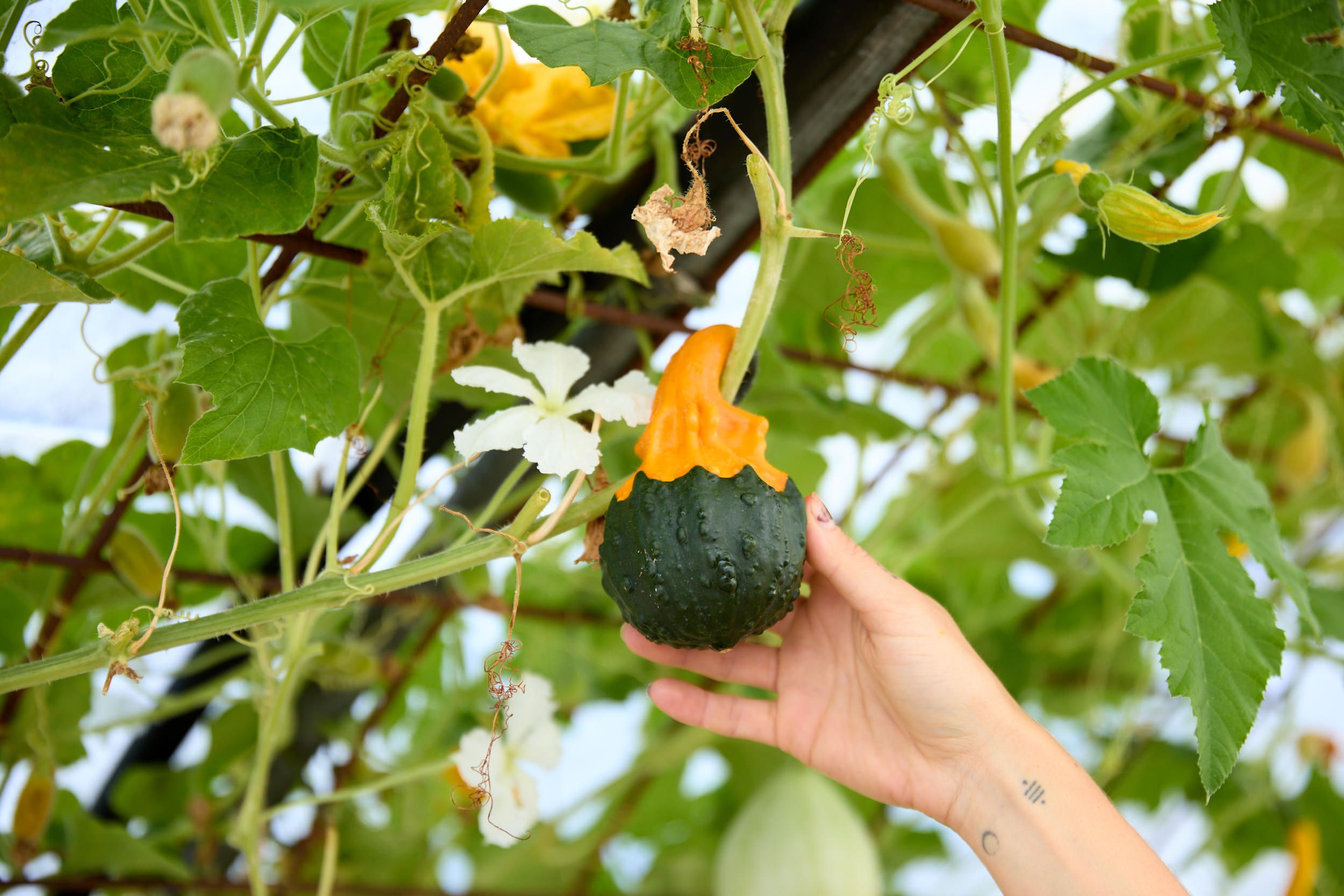 Material Institute's site in Bridgewater