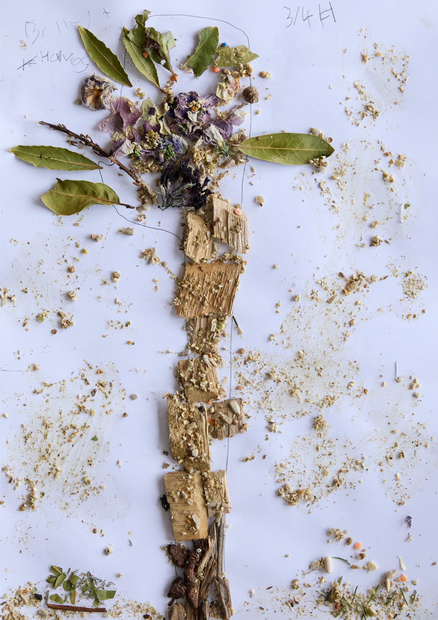 Collage of a tree on paper made from bark, leaves, and petals, surrounded by scattered debris, conveying a rustic, natural tone.