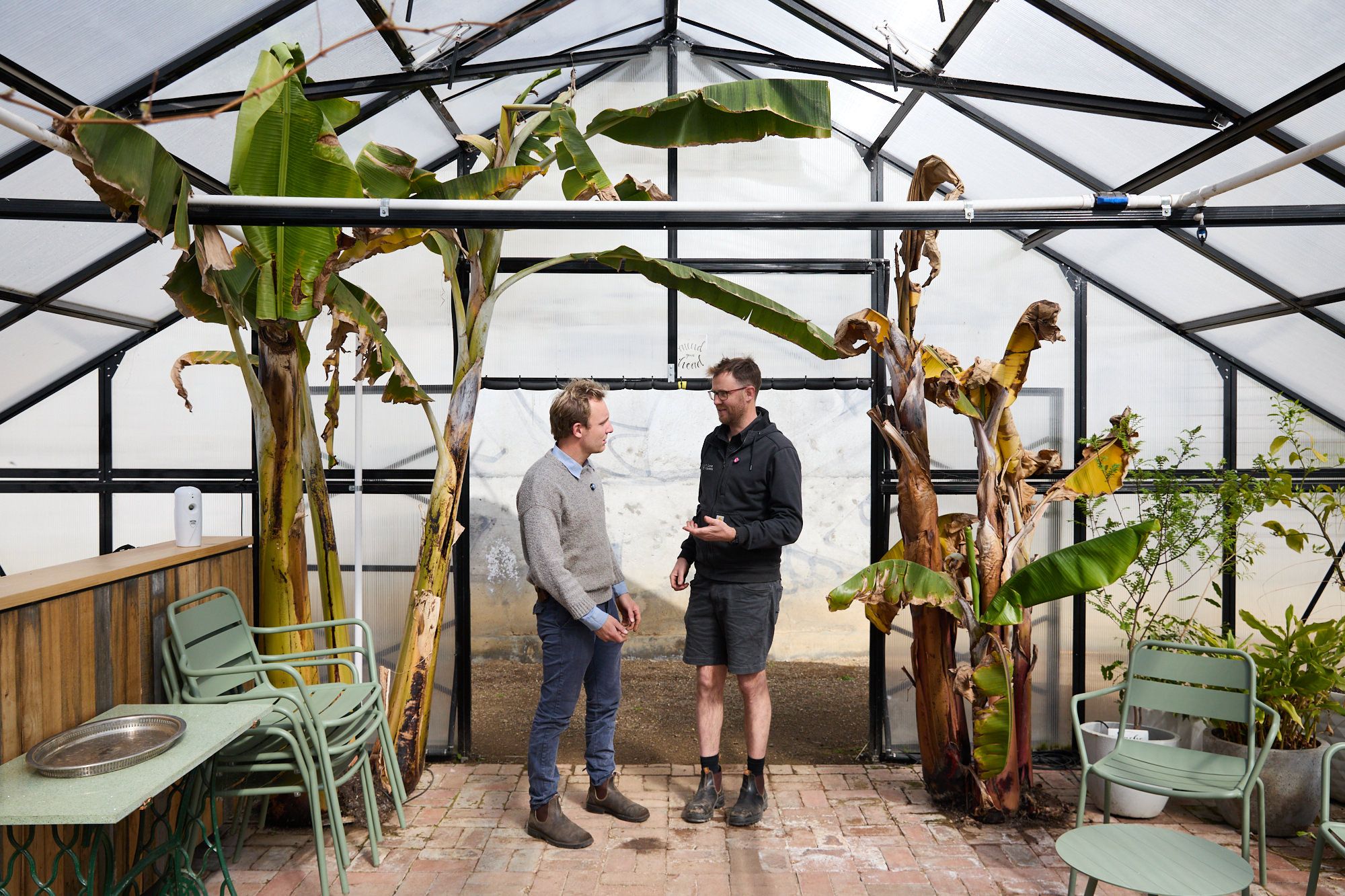 Two men stand in a greenhouse with banana plants, engaged in conversation. Chairs and a table are on the left, creating a relaxed, collaborative atmosphere.