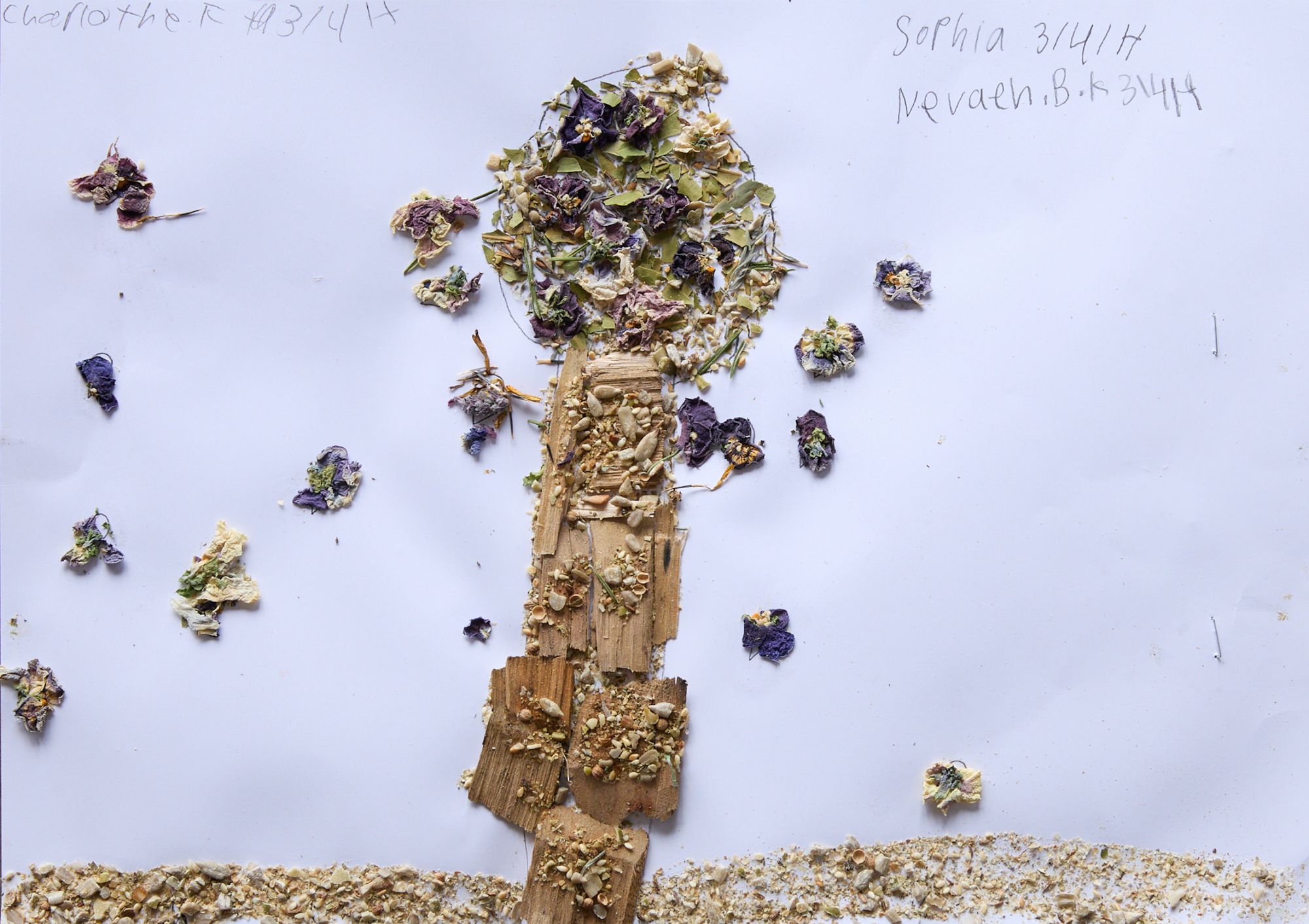 Collage of a tree using dried flowers and bark. The bark forms the trunk, while purple and green petals shape the canopy. Scribbles are visible in the corners.