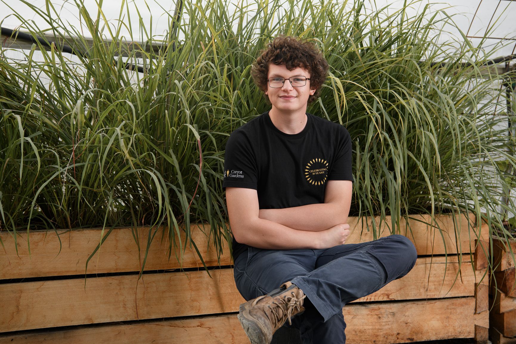 Juniper in the garden