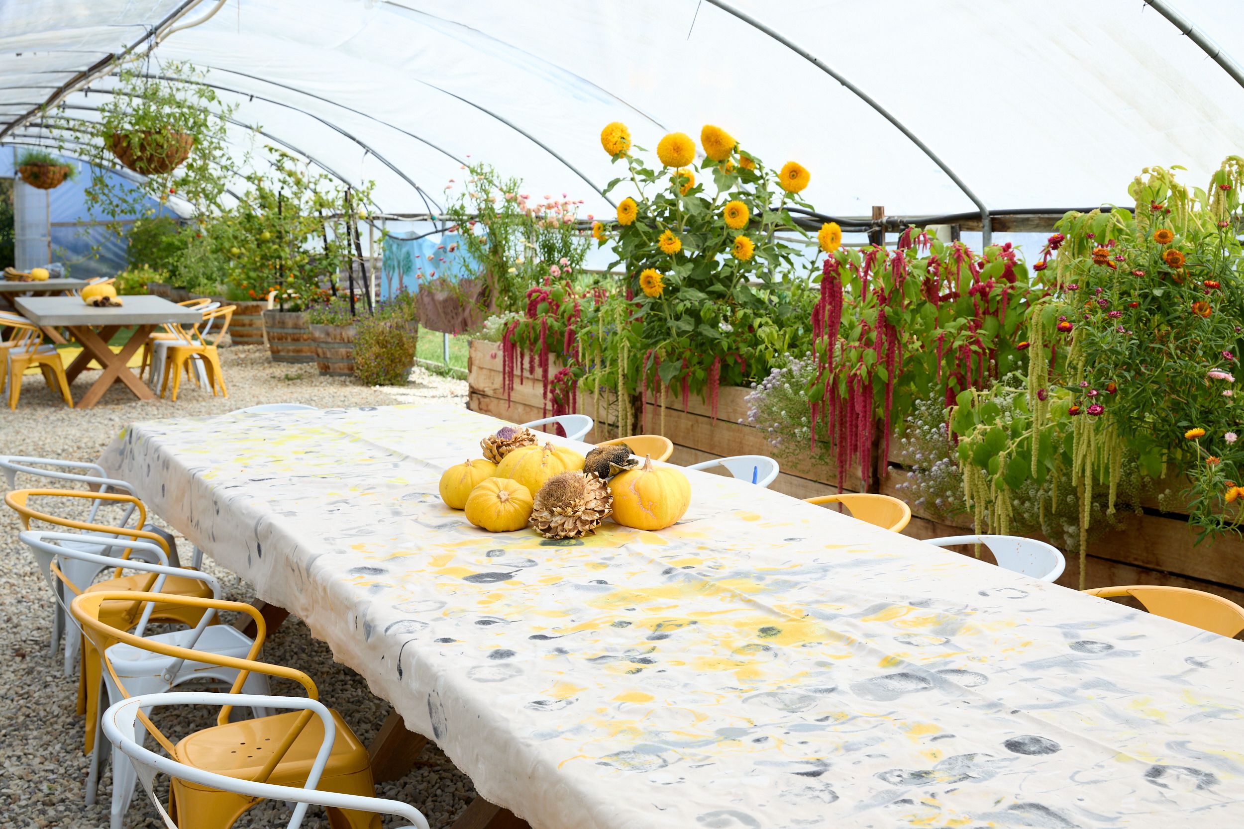 Material Institute's site in Bridgewater