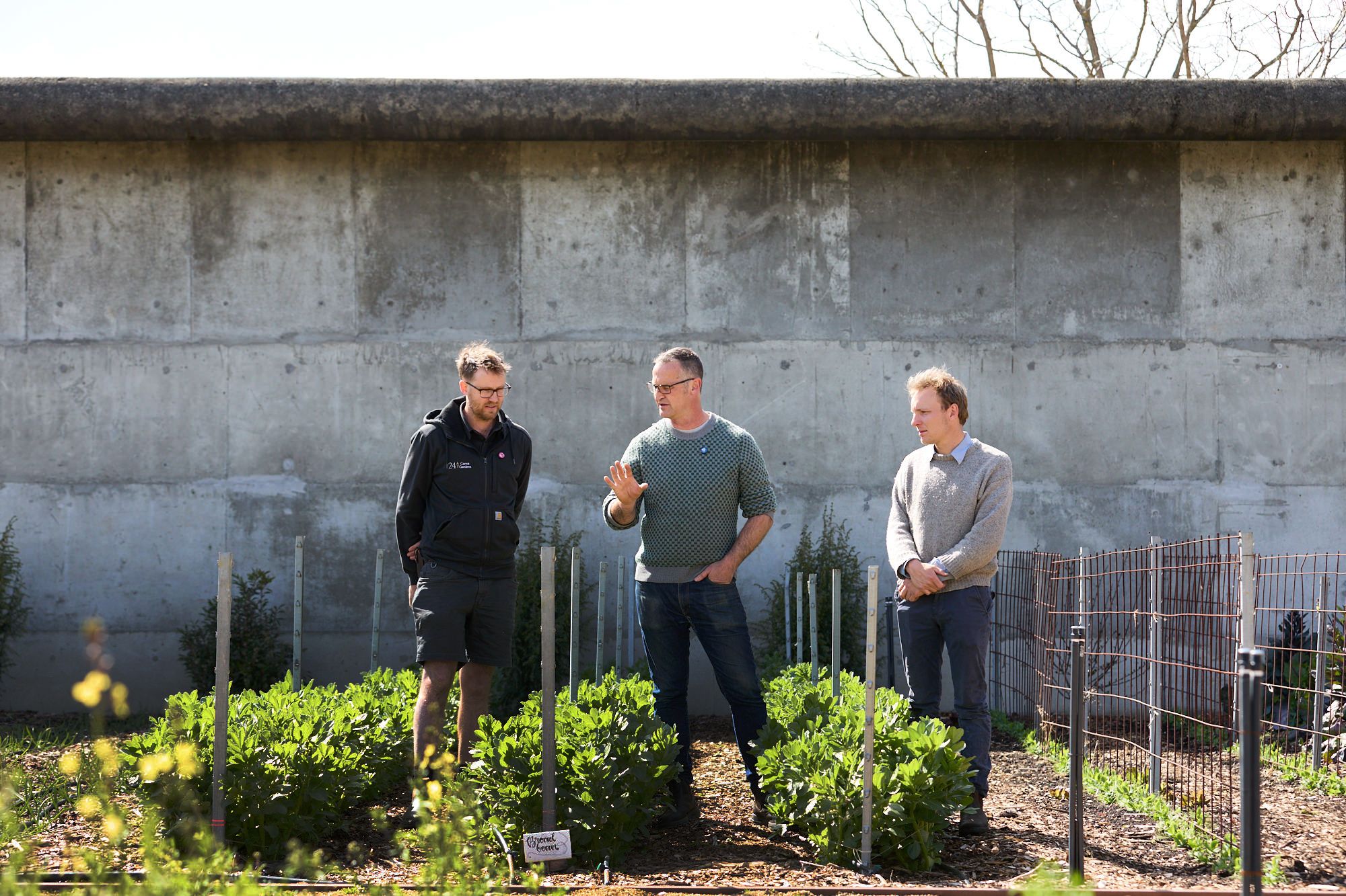 Three men stand in a garden, engaged in conversation. They are surrounded by green plants and a concrete wall, under a clear, sunny sky.