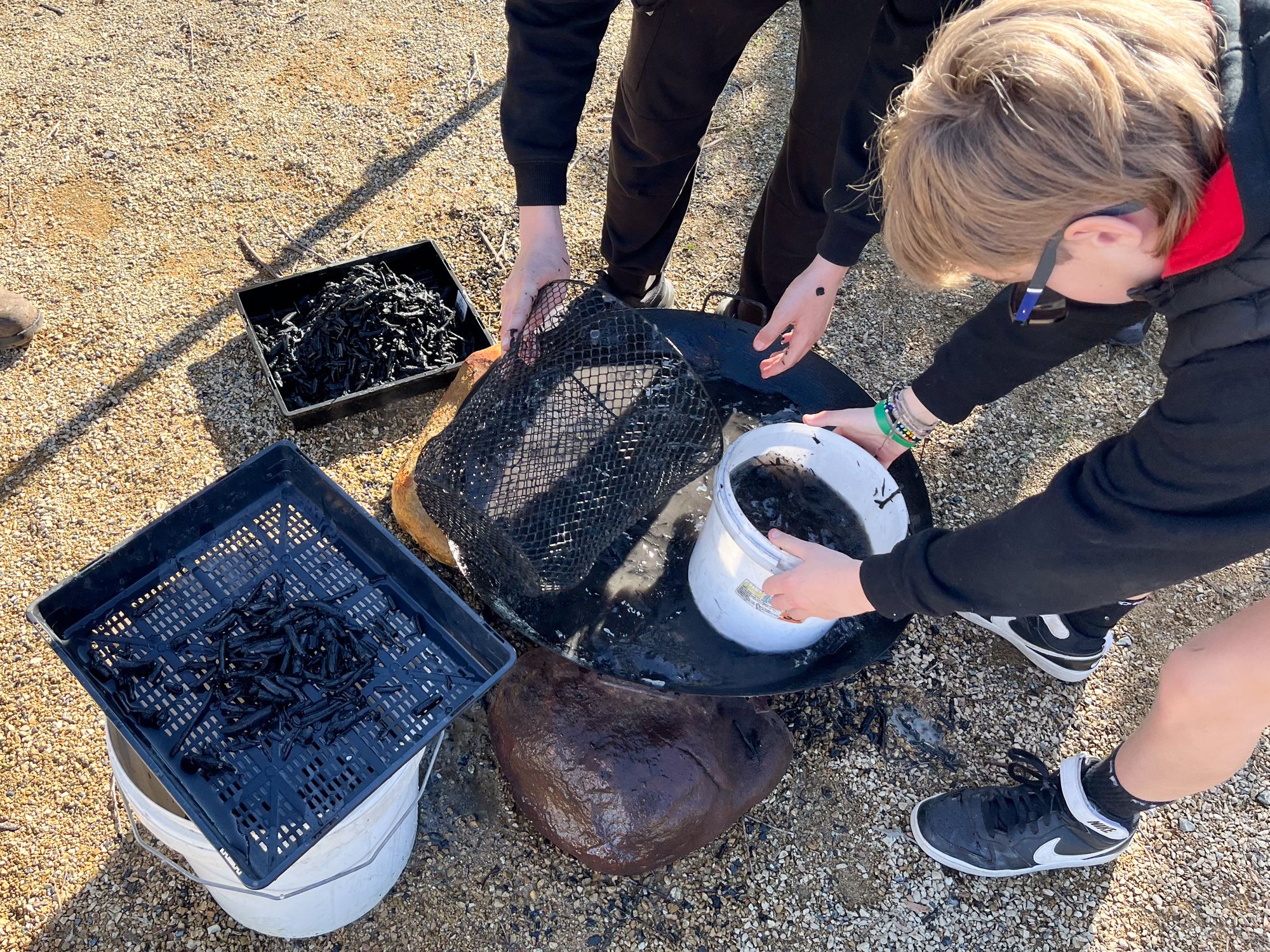 Two people crouch on gravel, sorting through trays and buckets containing small black objects, possibly seeds or soil. A focused, collaborative atmosphere.
