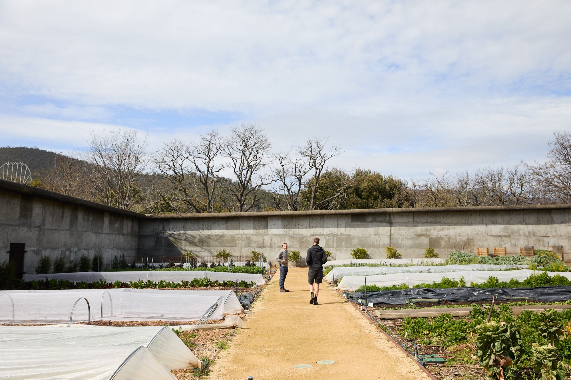 Two people walk along a path in a large garden enclosed by a concrete wall. Rows of planted vegetables are visible under a blue, cloudy sky.