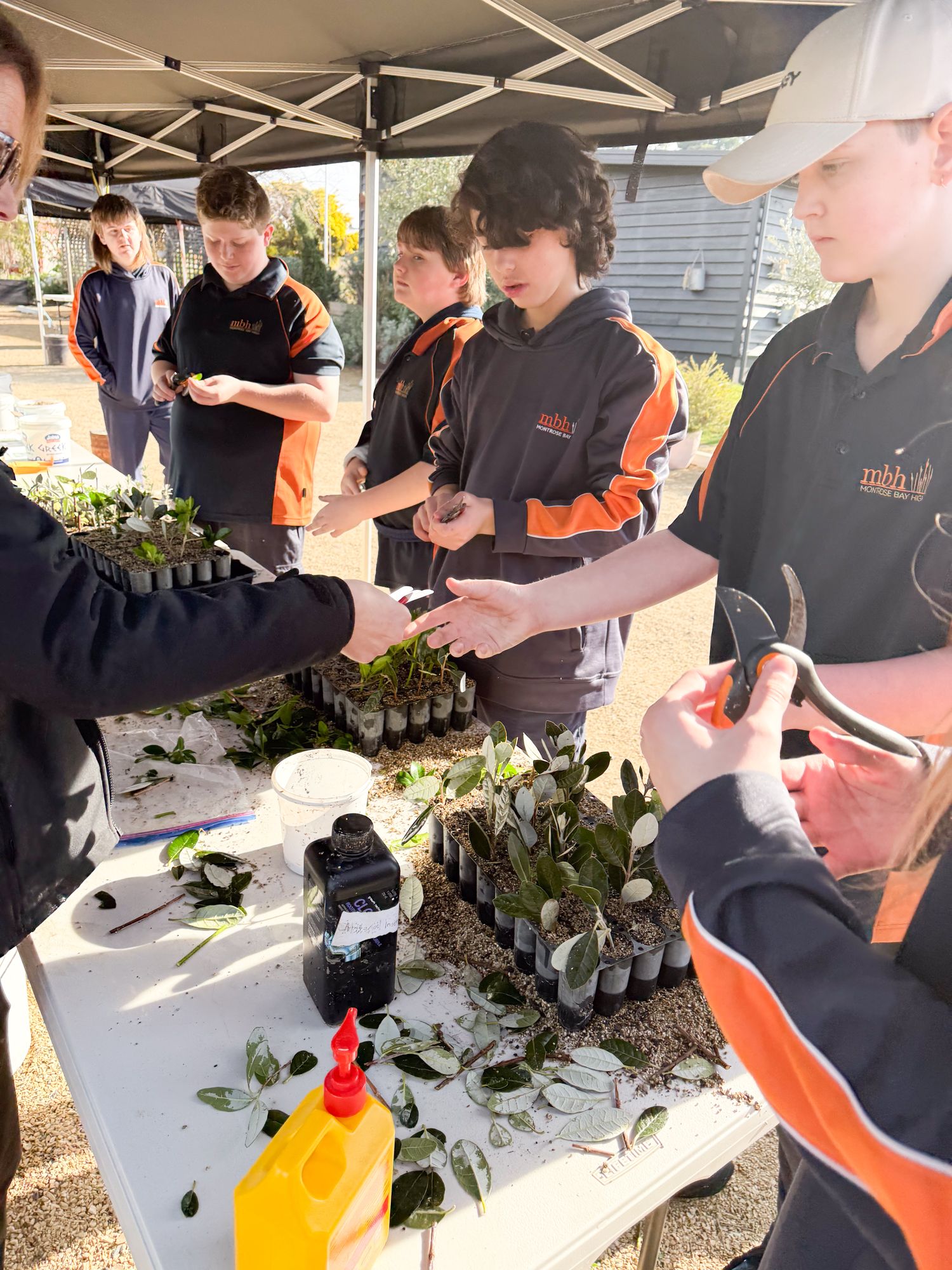 Group of students in black and orange uniforms, engaged in a hands-on gardening activity, planting seedlings at a sunny outdoor table under a canopy.