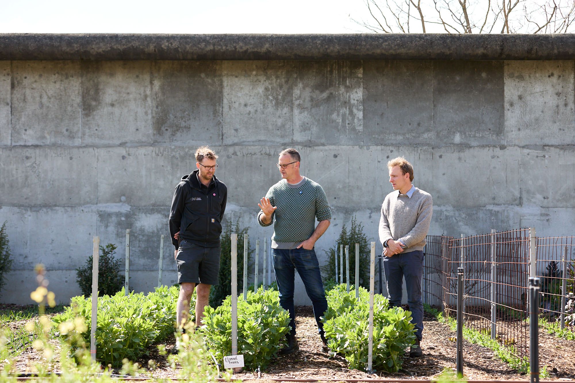 Three men stand in a garden, engaged in conversation. They are surrounded by green plants and a concrete wall, under a clear, sunny sky.