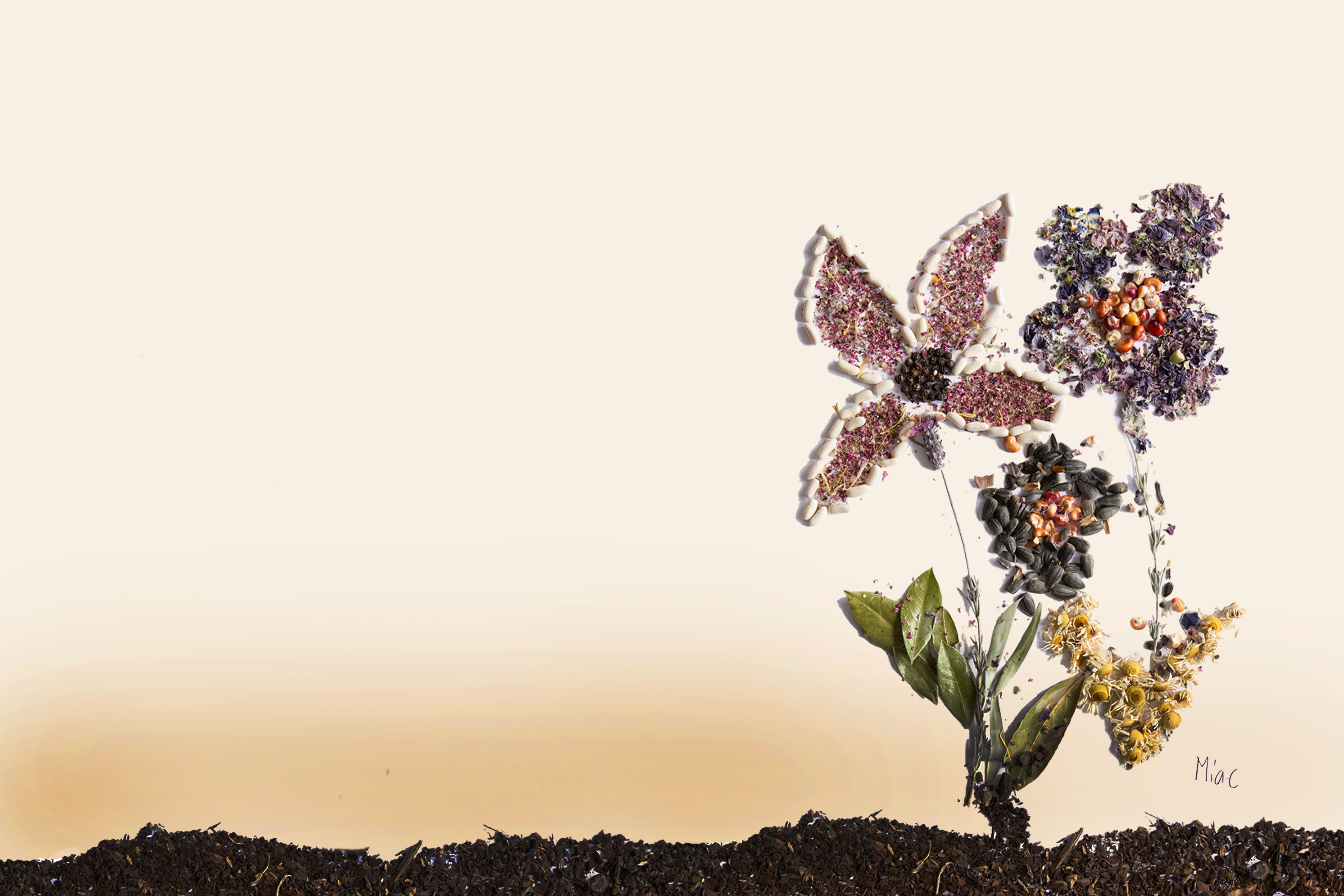 Magic Materials poster for 24 Carrot Carnival 2025. Colorful floral patterns form the words and a flower bouquet, set against a light background with a textured soil base.