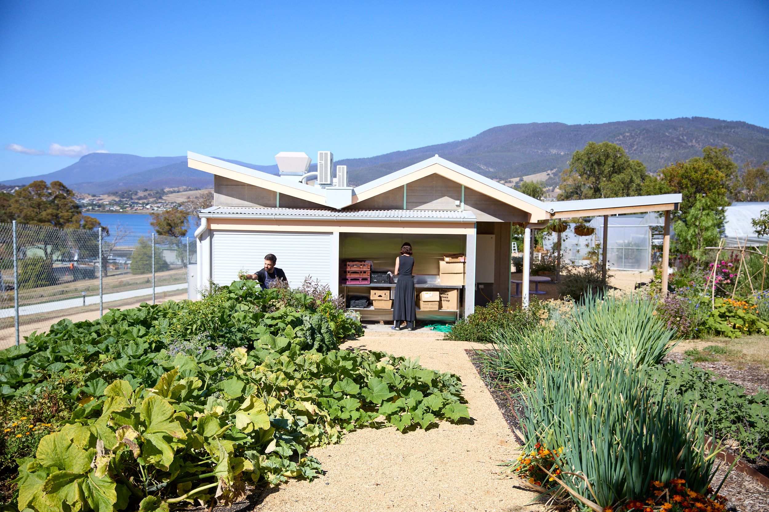 staff harvesting product