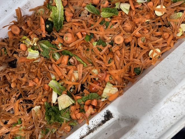 compost scraps