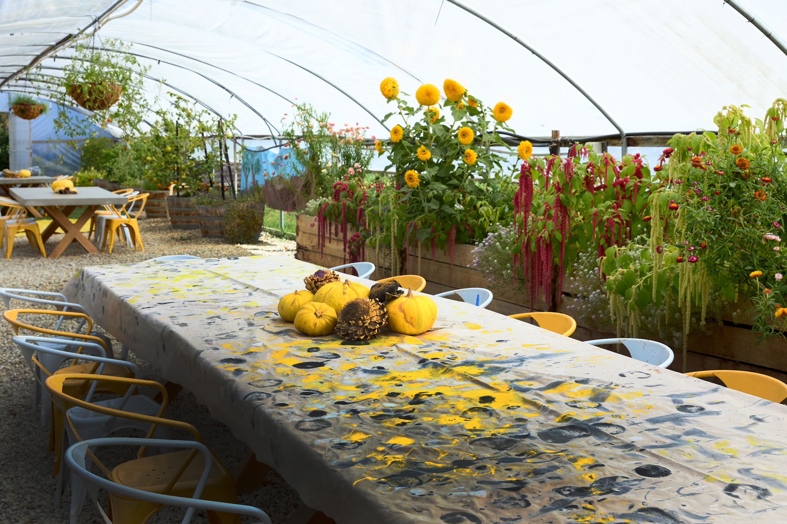 Material Institute's site in Bridgewater