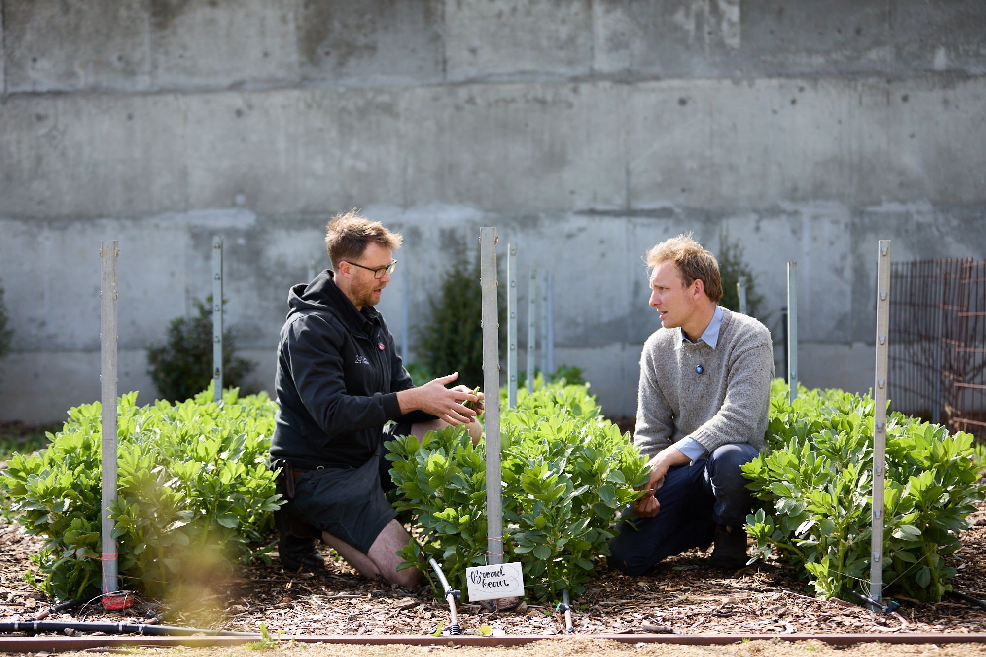 Two men kneel in a garden, discussing plants surrounded by lush greenery. One gestures animatedly. The setting is calm, with a focus on growth.