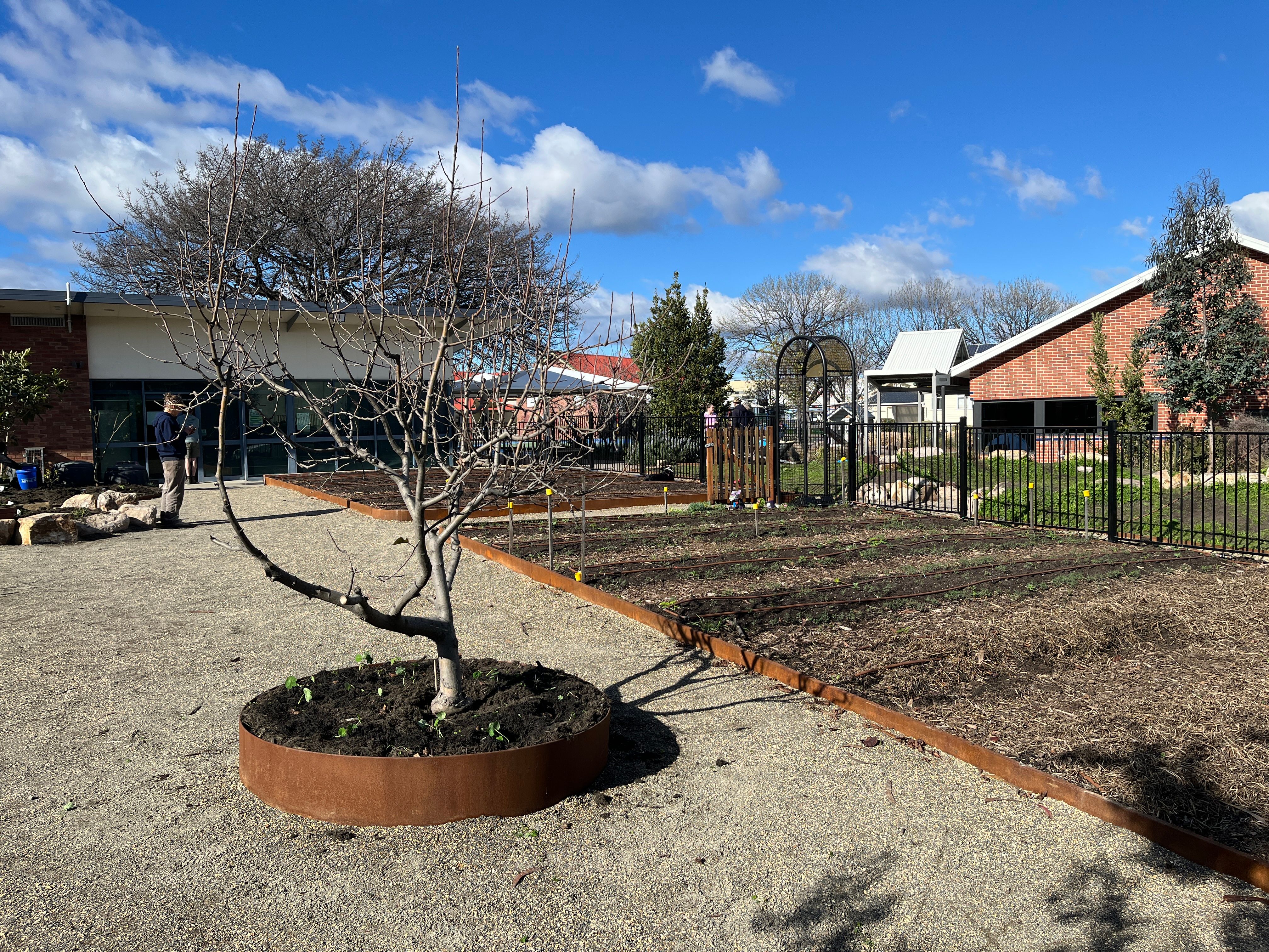 moonah ps garden