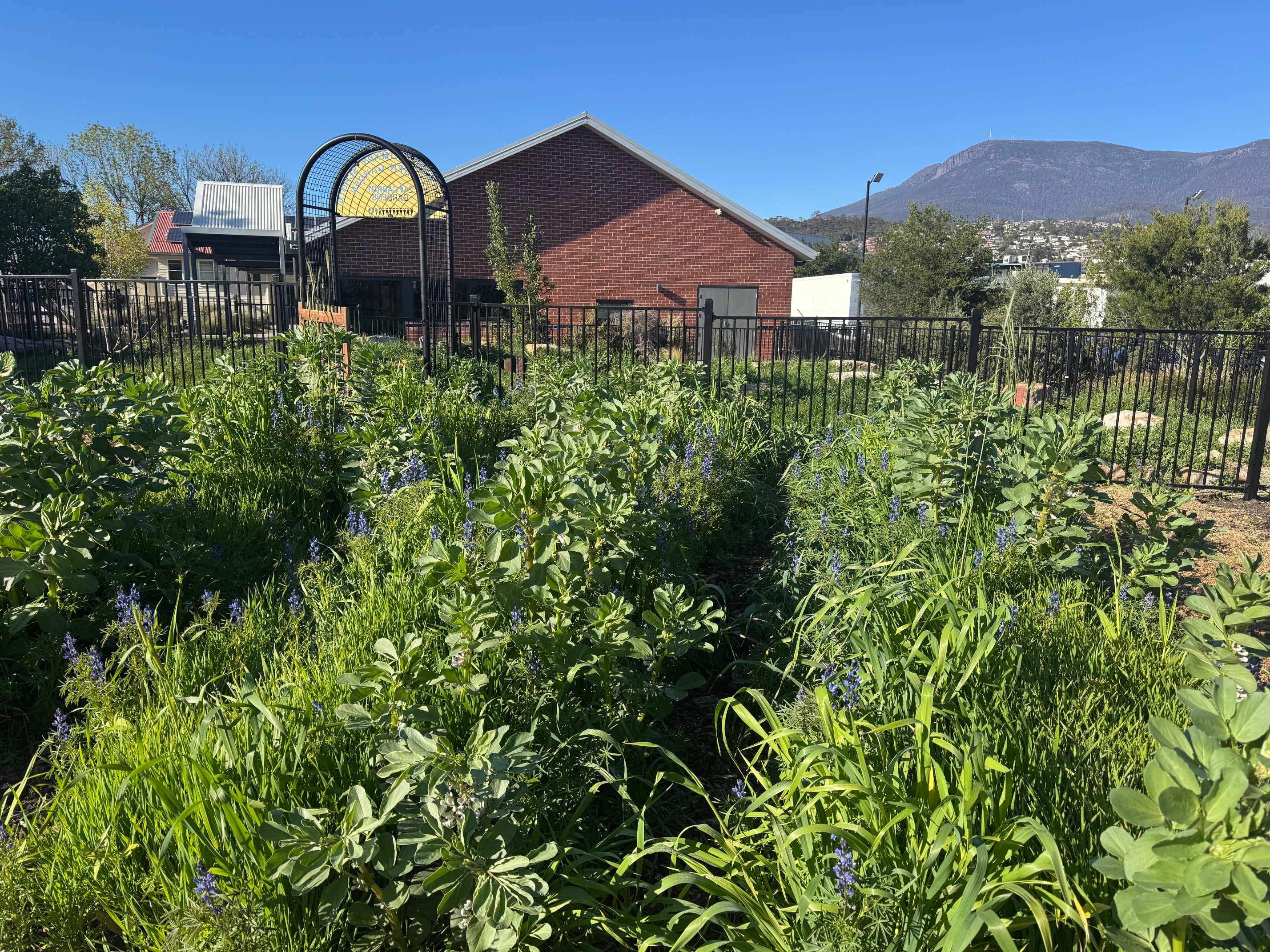 flourishing garden