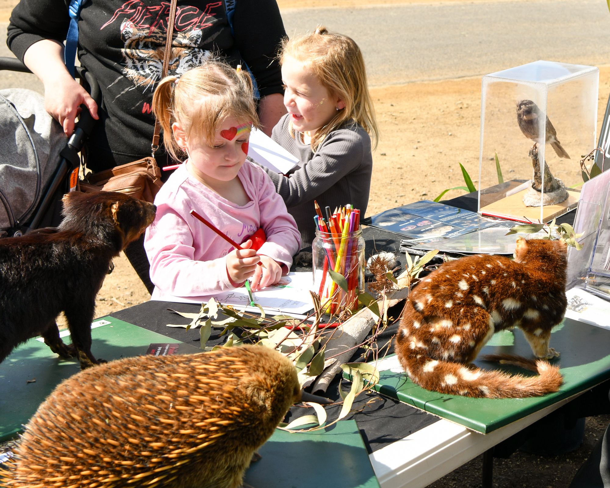 child at table outdoors learning about native animals