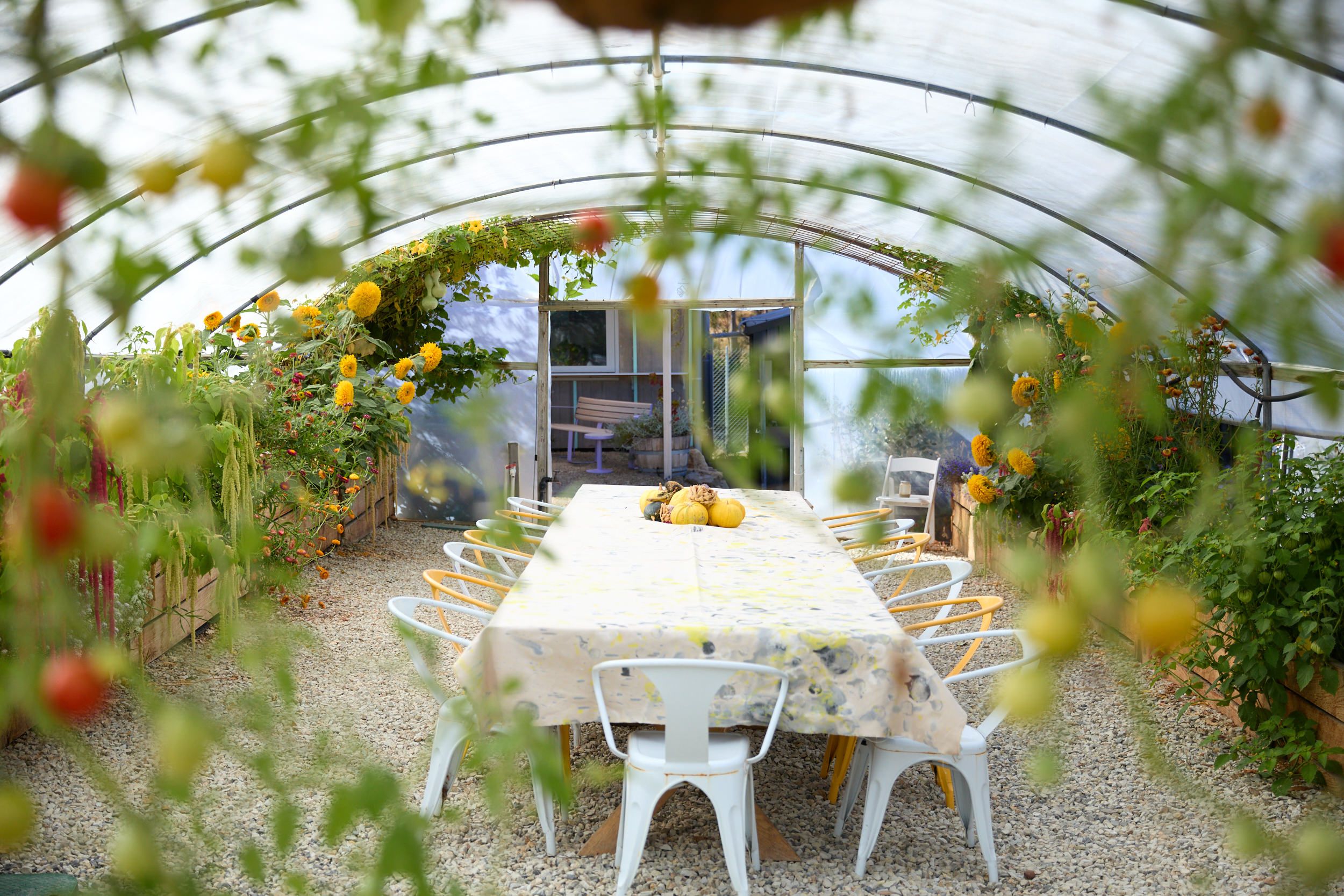 Material Institute's site in Bridgewater