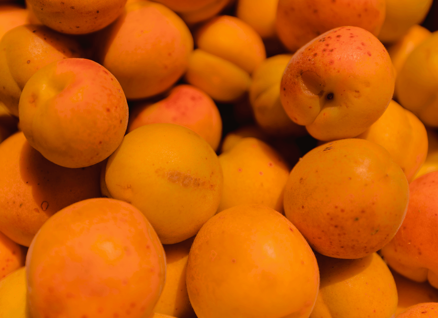 apricots