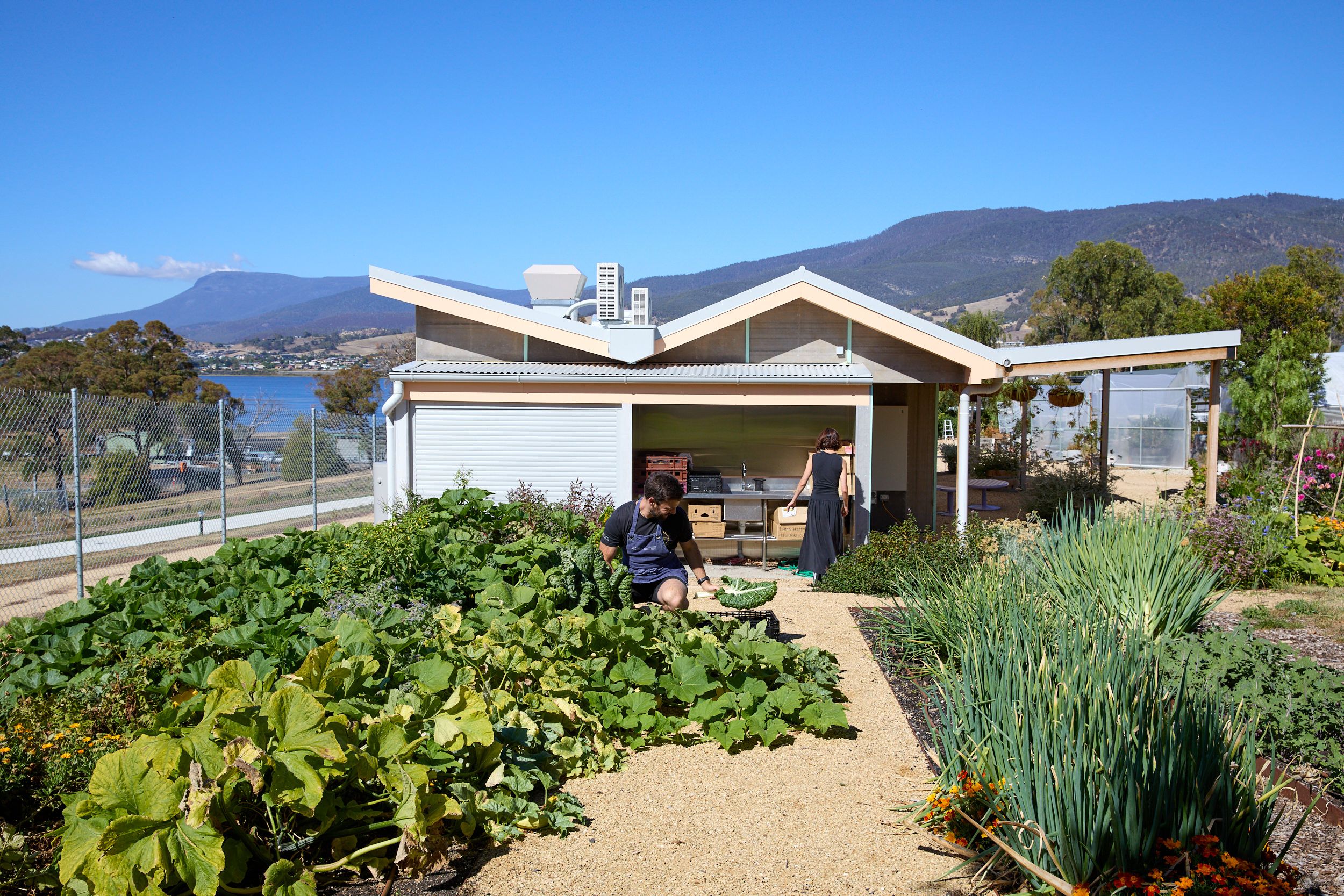 Material Institute's site in Bridgewater