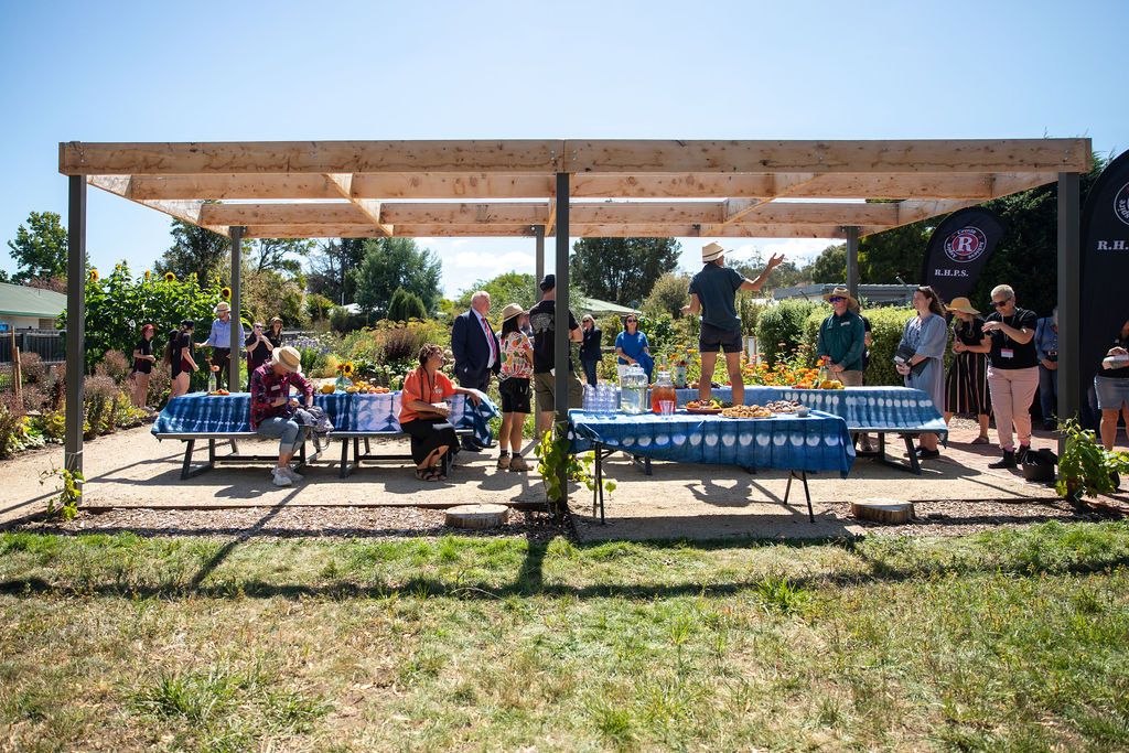 Ravenswood Heights primary school garden