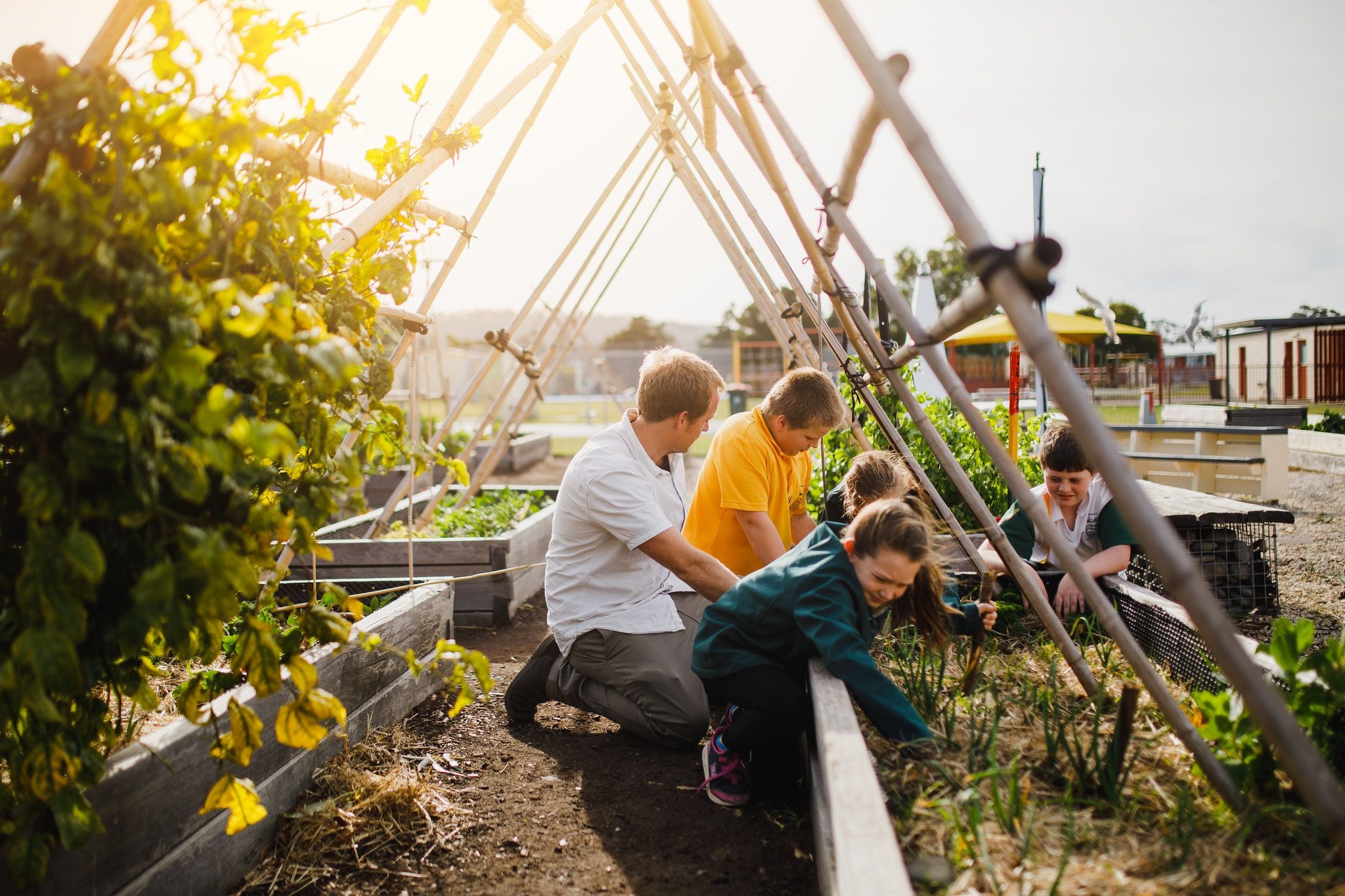 kids in vegetable garden