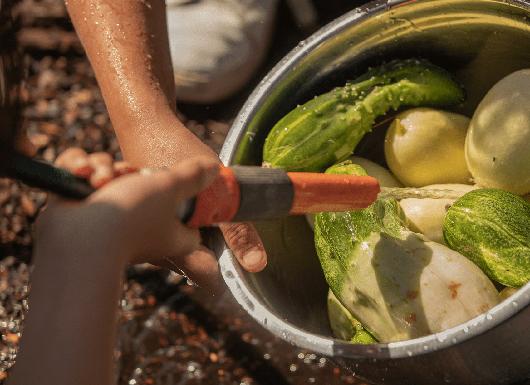 washing veggies