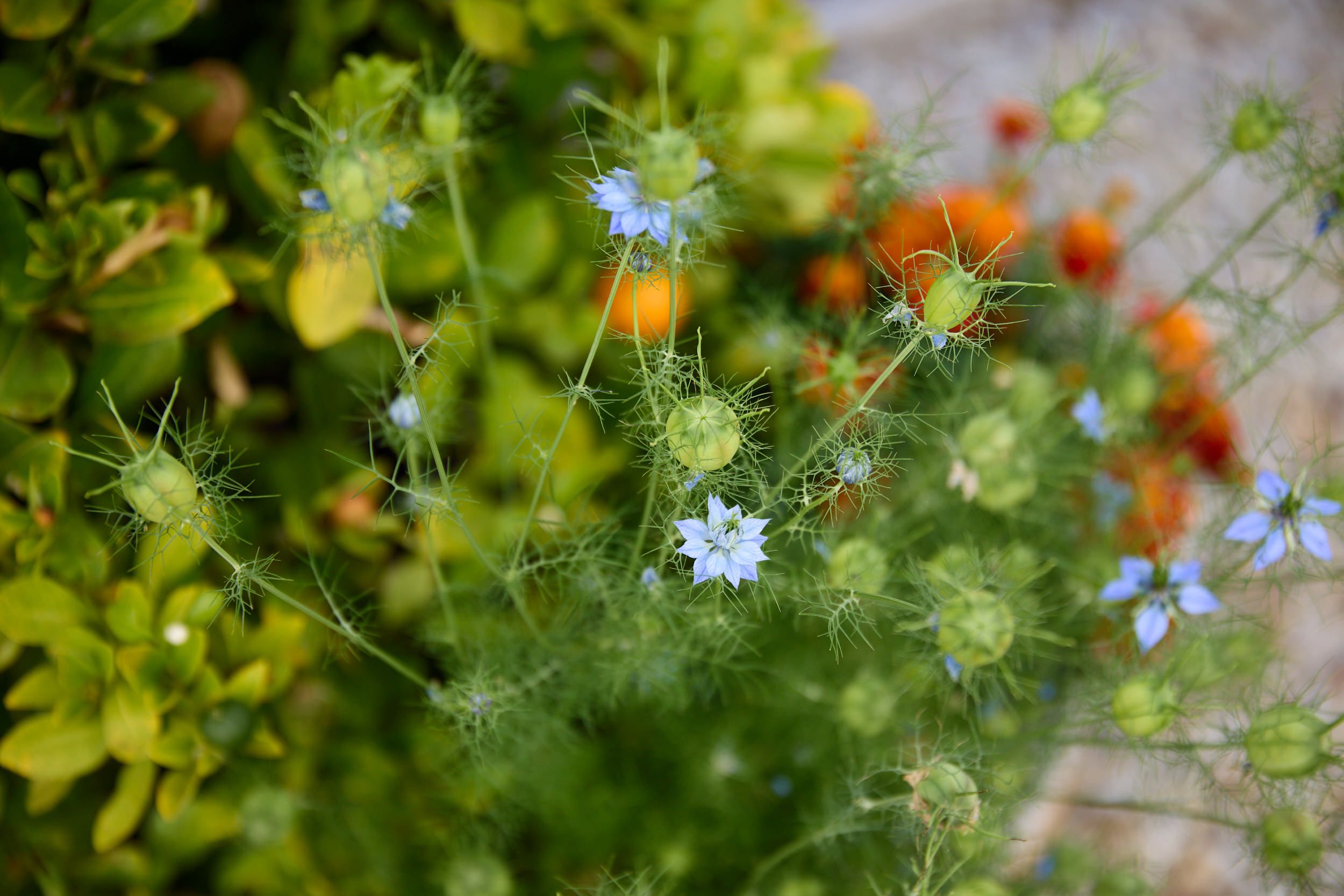 Material Institute's site in Bridgewater